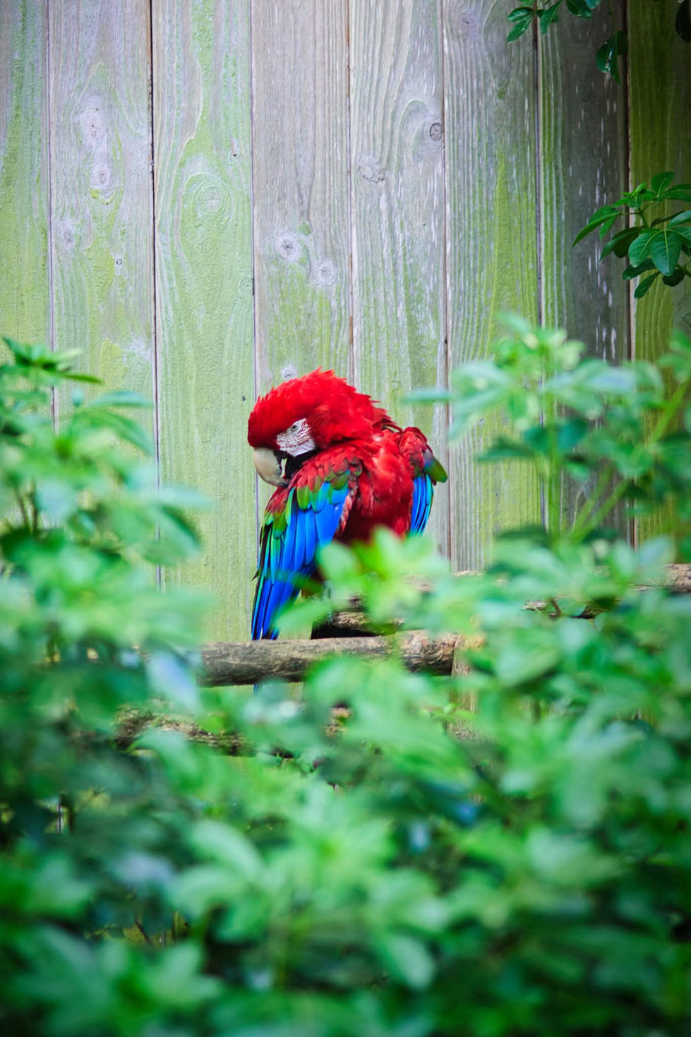 facebook_1758397167598_7375252273647614945