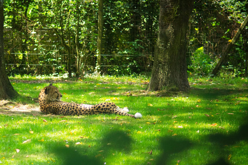 facebook_1758397269602_7375252701481667451