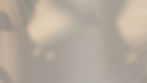 gray-leaves-shadow-wall.jpg