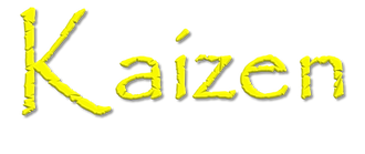 Standard work established through Kaizen