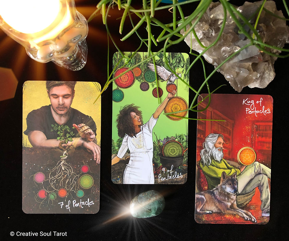 Tarot cards on a black cloth with a skulll candle, crystals, and a plant