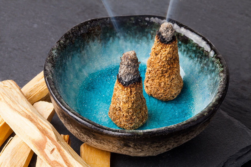 Incense cones and palo santo for home cleansing