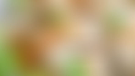 BRICKS AU BOEUF ET FROMAGES VACHE QUI RIT