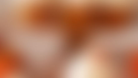 PUMPKIN CUPCAKES ( À LA COURGE BUTTERNUT)