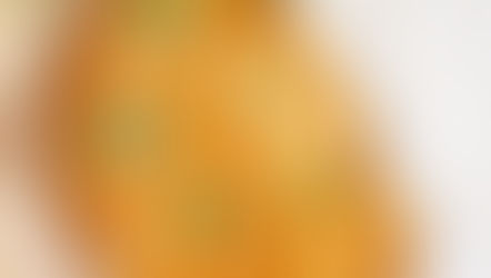 DAHL DE LENTILLES CORAIL