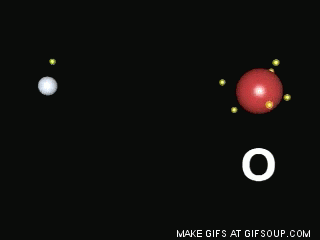 KN1M2-qT0C2mmjUJSWbezw.gif