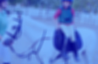 Pony Ride_edited_edited.jpg