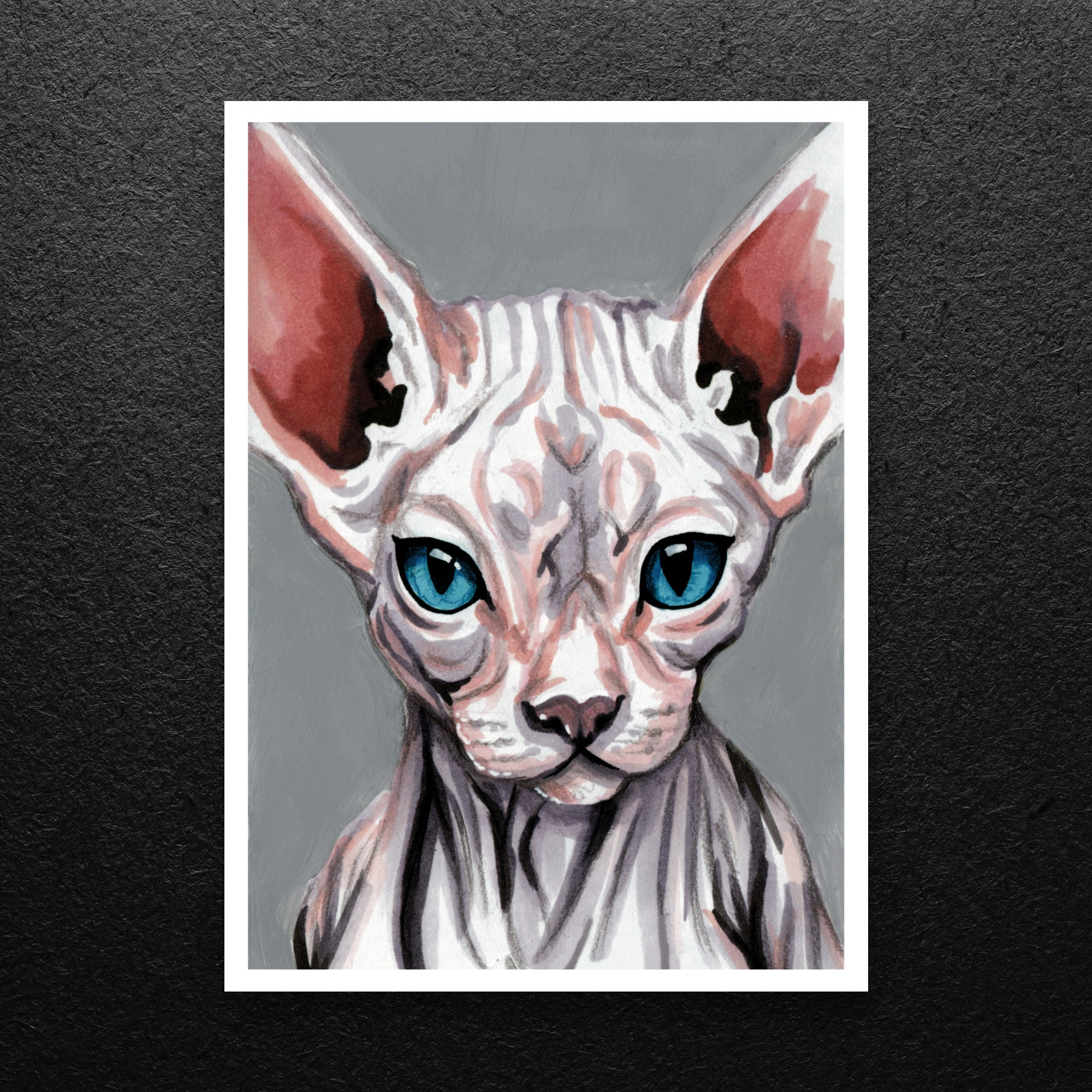 Sphynx Cat Print