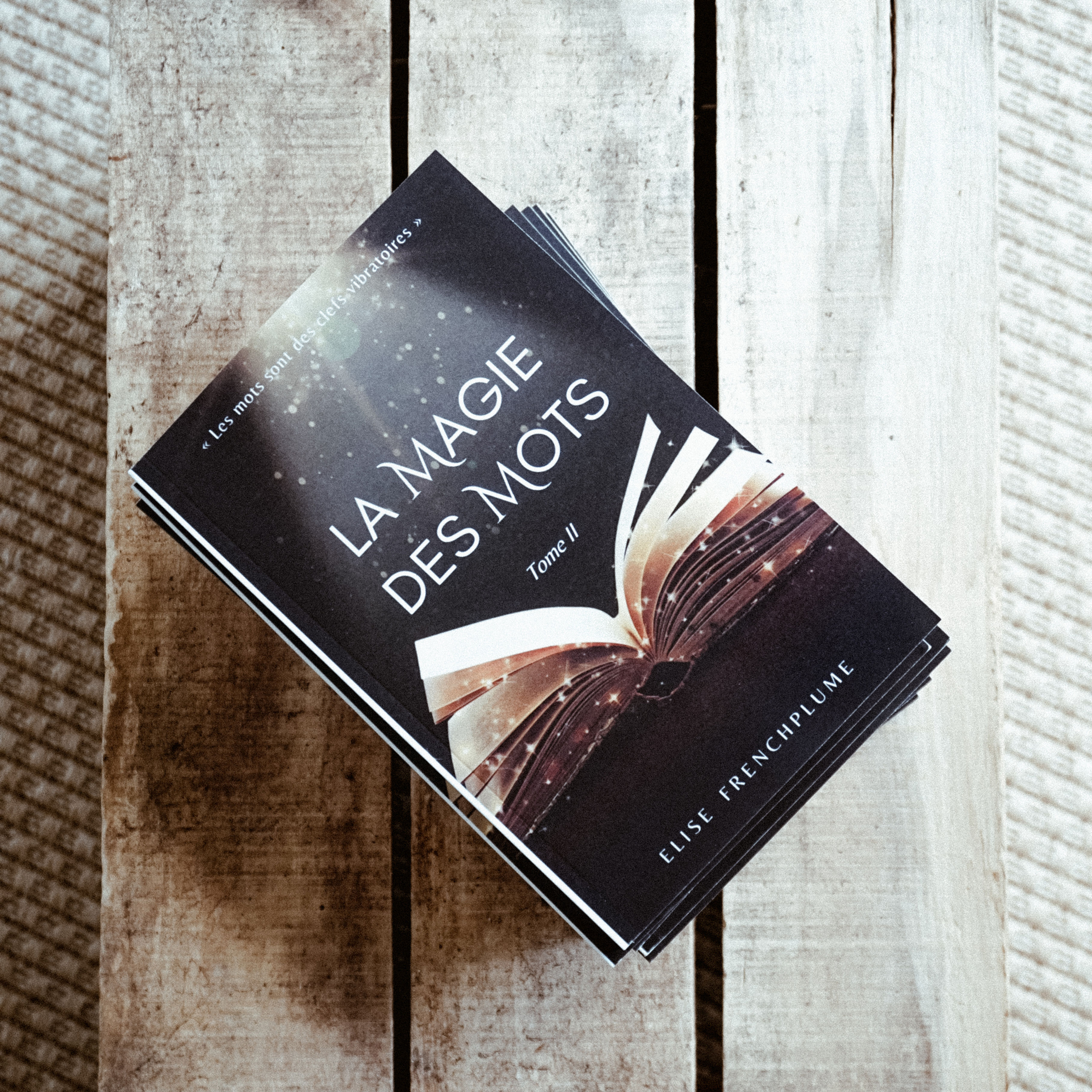 Livre + dédicace Intuitive