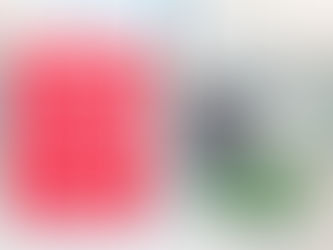 Medicare Prescription Drug Plan 2026 FAQs 