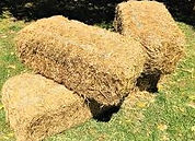 Biochar feedstock: straws