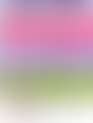 SCULPT & SHINE: My 4-Week Aesthetic Home Workout Plan for Beginners