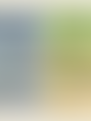 Why Restrictive Diets Don’t Work Long-Term (And What to Do Instead)