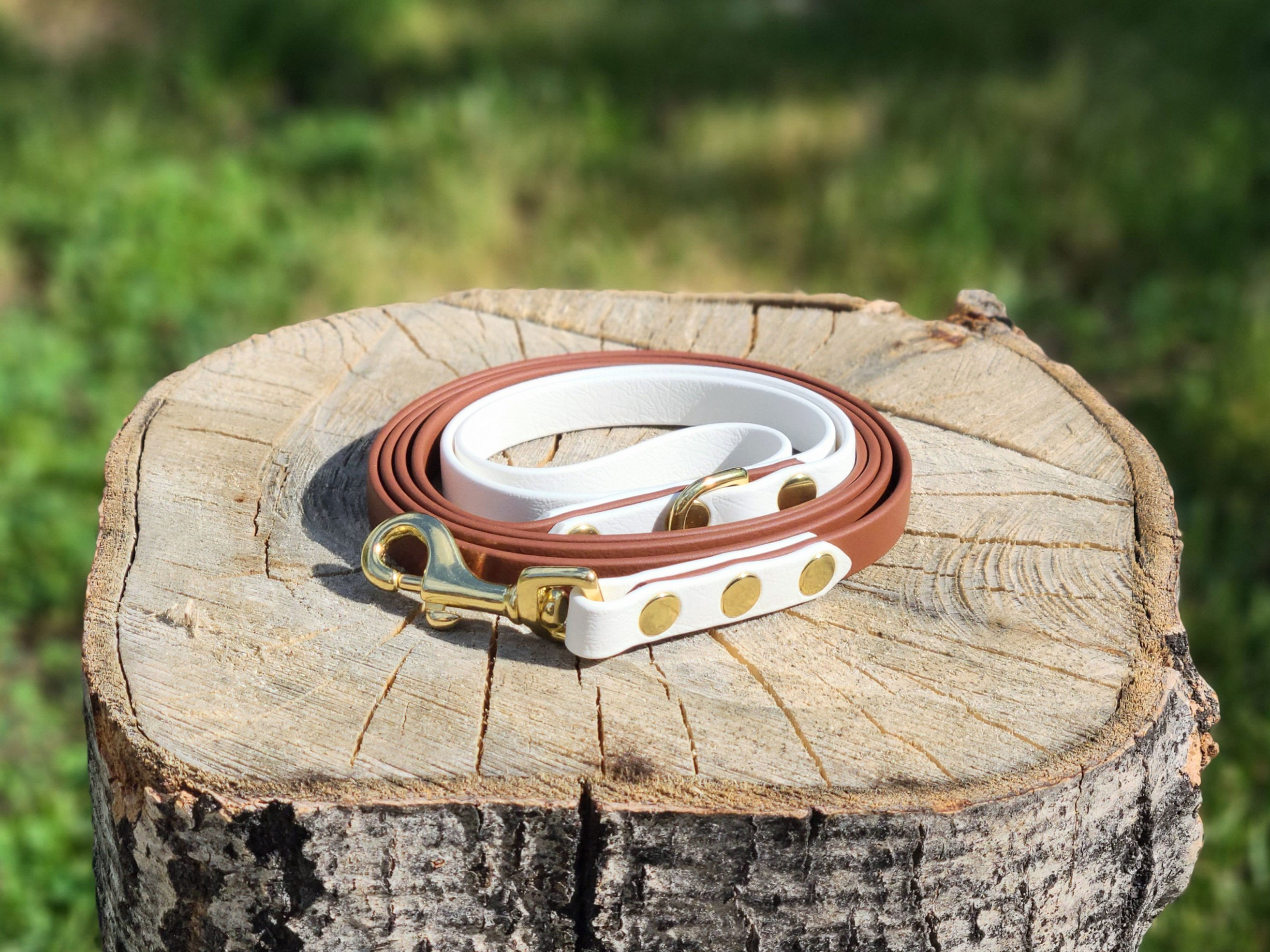 1/2" Two-Toned Leash