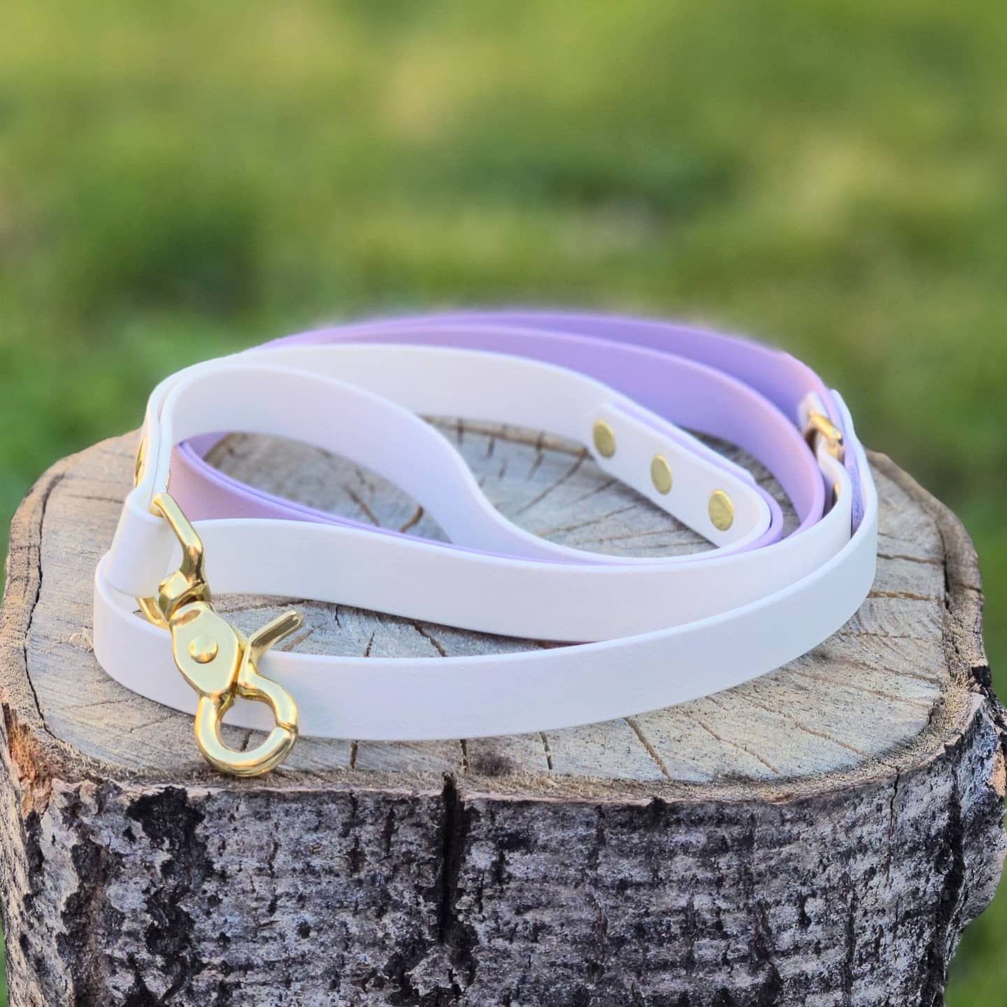 3/4" Two-Toned Leash with Traffic Handle