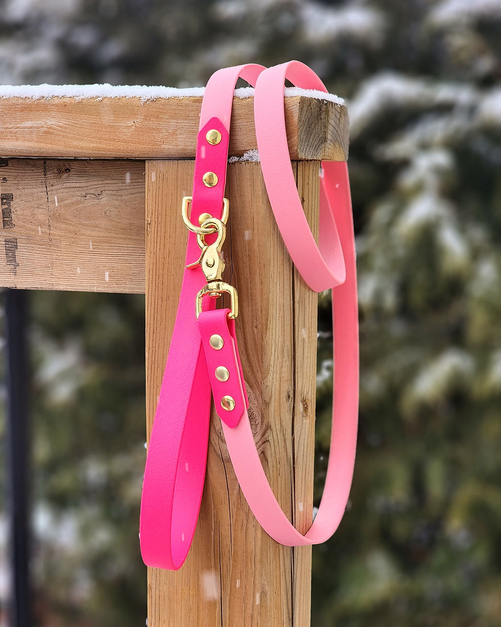 Thumbnail: 3/4" Two-Toned Leash