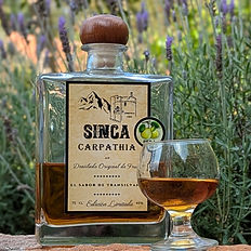 SINCA - Carpathia