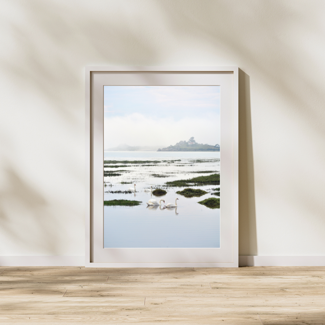 Baie du Kernic - Finistère