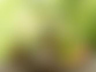 O que é a aromaterapia?