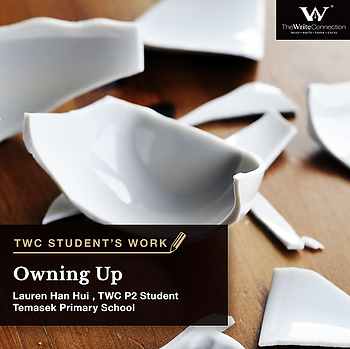 Owning Up, TWC Student's Composition, Model Composition