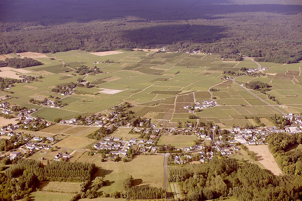 Vignobles