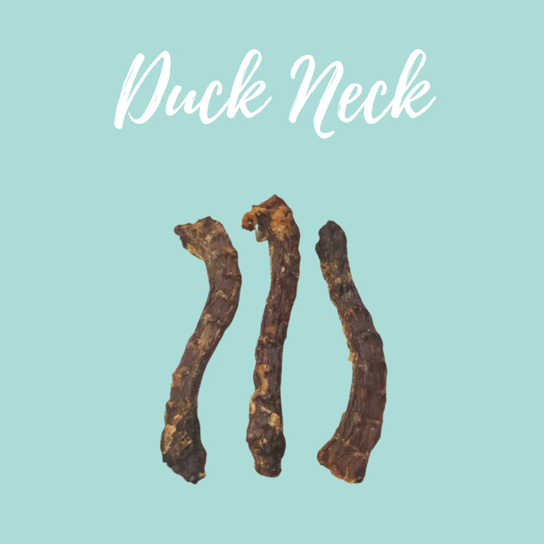 Duck Neck