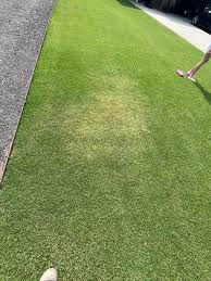 Close up of melted and discolored artificial turf patch caused by concentrated window reflection