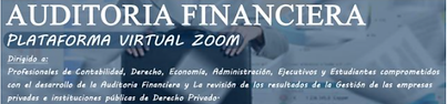 AUDITORIA FINAN .png