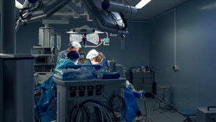 Successful cadaver lab in HSS, New York