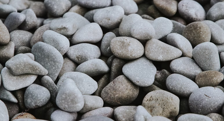 The Meaning of Martyr