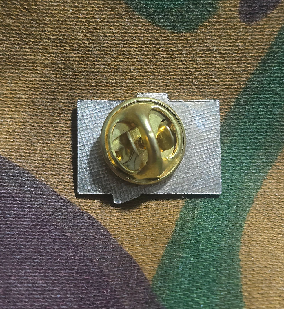 Thumbnail: Vintage Texas State Flag Lapel Pin Badge Enamel 