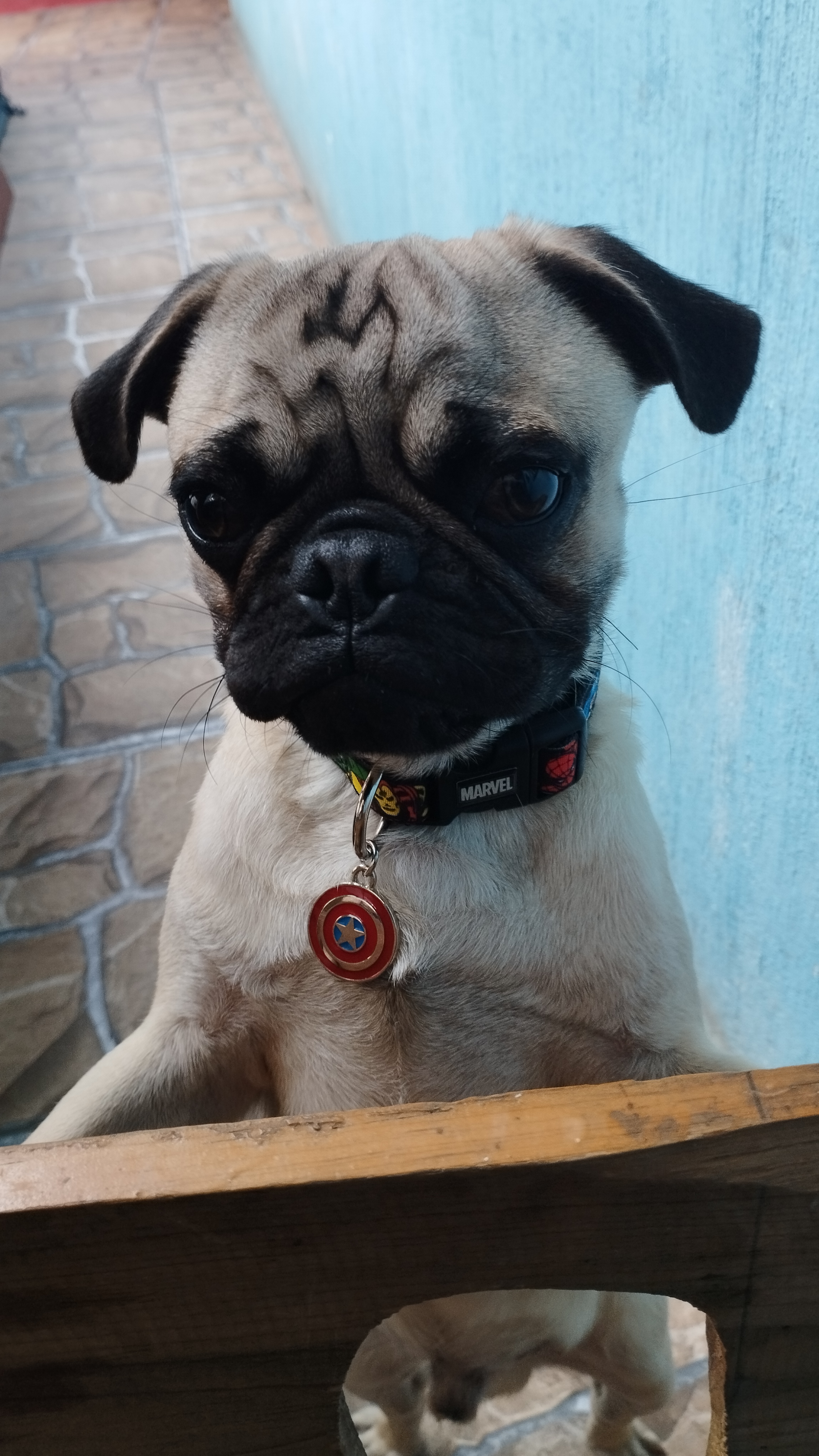Kaiser