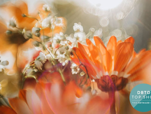 Details By The Dozen - May 2021