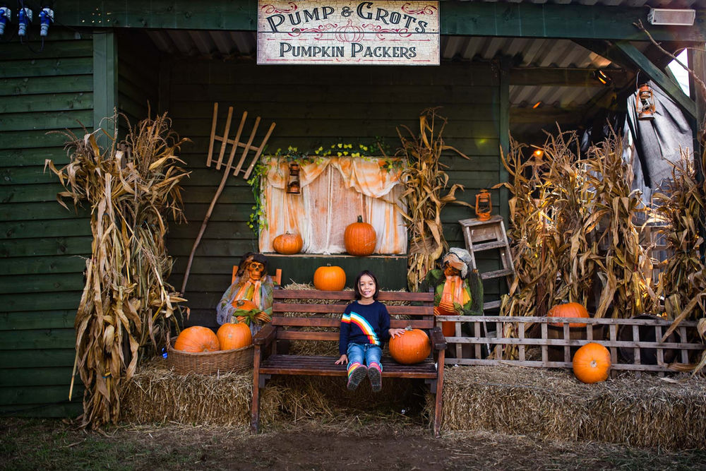 PYO Pumpkins at Tulley's Farm, Autumn Family Photographs in Sussex