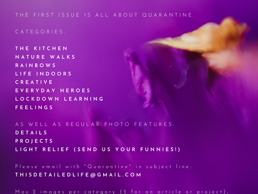 TDL Magazine - Call for Submissions
