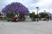 imagen 4 1920x1280.jpg