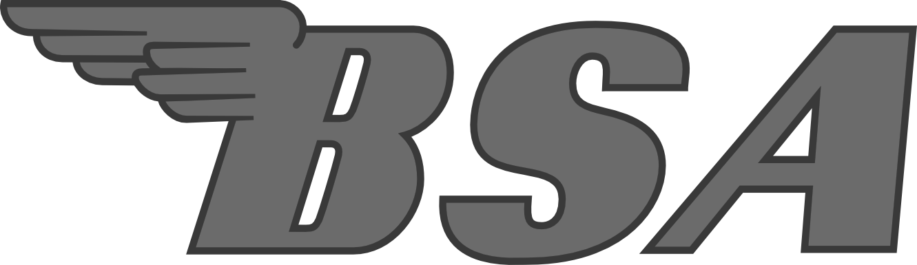 bsa-big_edited.png
