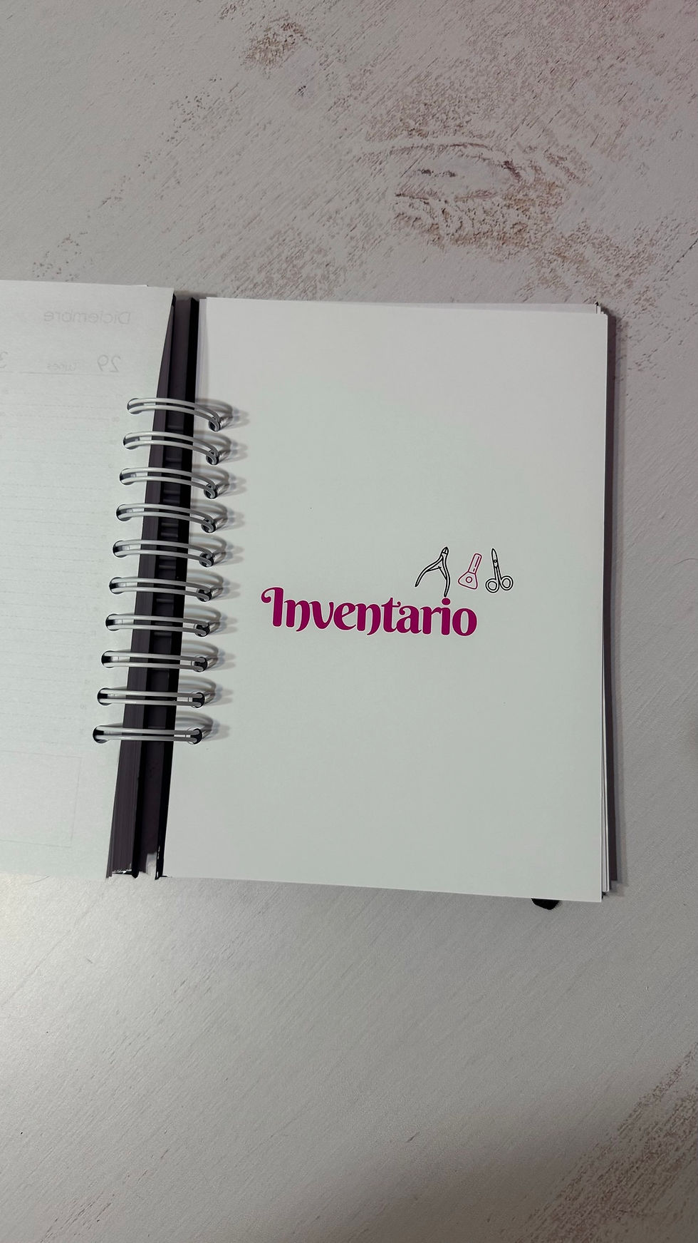 Miniatura: Agenda Manicura 2026 