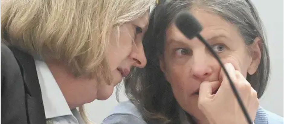 Michelle Troconis seeks Appellate Court help on bond request amid pending appeal in Dulos case