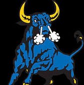 NW Bull.jpeg