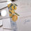 Miniatura: Surriento