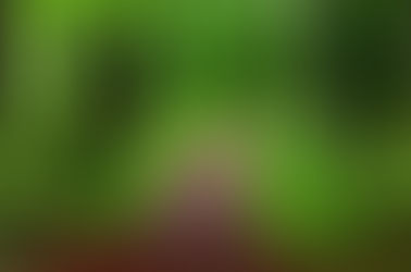 Monthly Musings - July