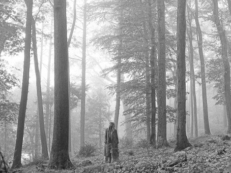 folklore- An Album Review