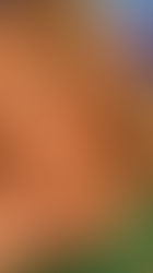 Τίνα Μεσσαροπούλου: Η αναφορά στον Νίκο Συρίγο