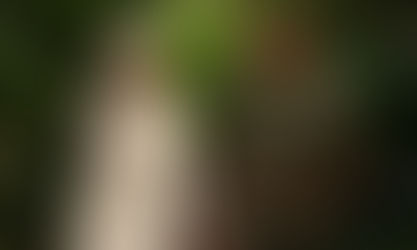 Άννα Θεοδωρίδη: Τρυφερές φωτογραφίες με τον 6 μηνών γιο της και τον Light