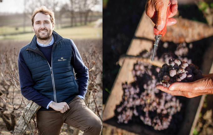 Yquem, l'art d'assembler / Lorenzo Pasquini