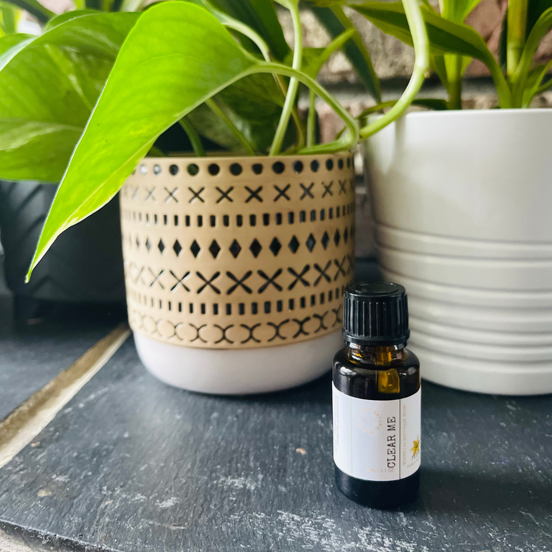 clear decongestant essential oil diffuser blend