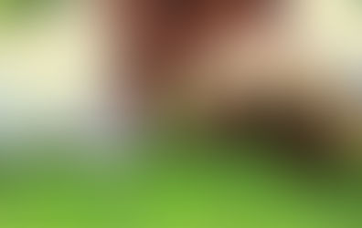 Перфекционисты тоже плачут.
(часть І)