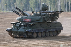 Forum-Armiya-Den-114