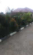 WhatsApp Image 2021-04-05 at 19.27.43-3.